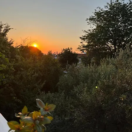 Sofia's Πλαταμώνας