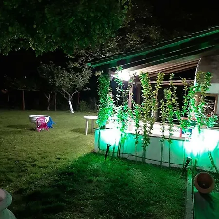 Sofia's *