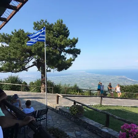 Sofia's